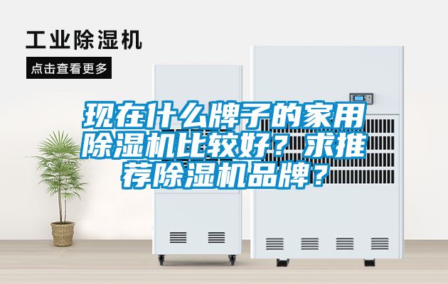 現(xiàn)在什么牌子的家用除濕機比較好？求推薦除濕機品牌？