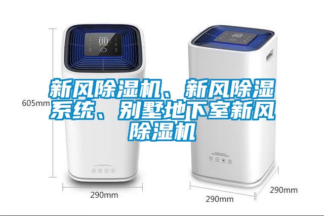 新風(fēng)除濕機(jī)、新風(fēng)除濕系統(tǒng)、別墅地下室新風(fēng)除濕機(jī)