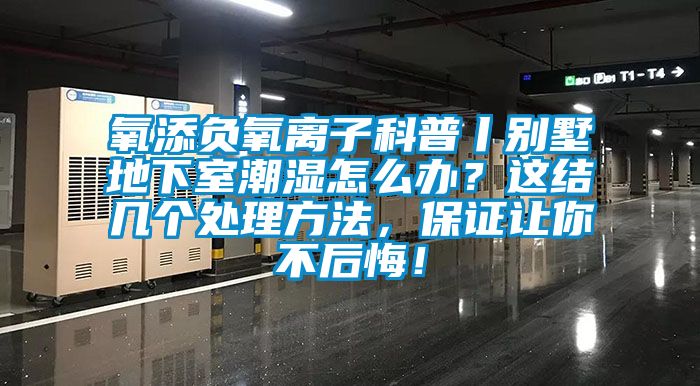 氧添負氧離子科普丨別墅地下室潮濕怎么辦？這結(jié)幾個處理方法，保證讓你不后悔！