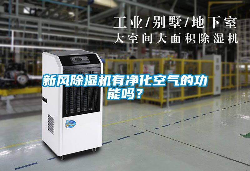 新風(fēng)除濕機(jī)有凈化空氣的功能嗎？
