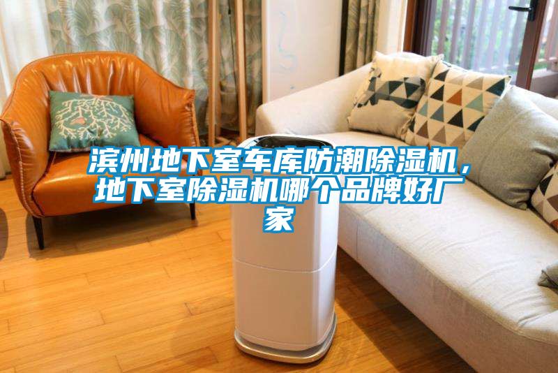濱州地下室車(chē)庫(kù)防潮除濕機(jī)，地下室除濕機(jī)哪個(gè)品牌好廠(chǎng)家