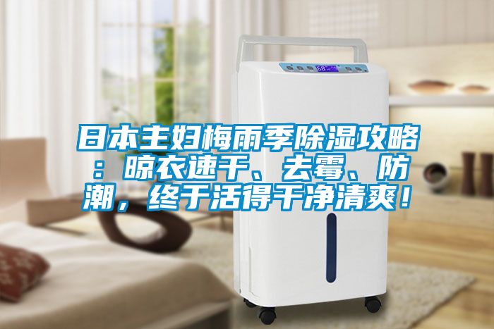 日本主婦梅雨季除濕攻略：晾衣速干、去霉、防潮，終于活得干凈清爽！