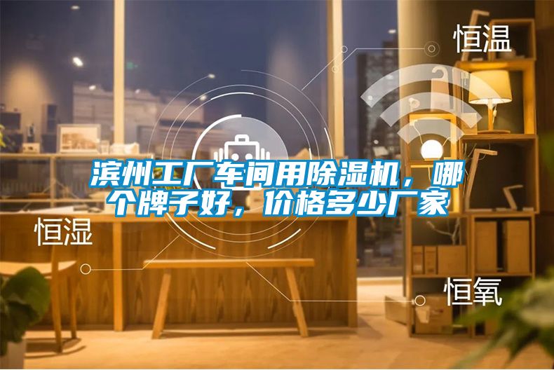 濱州工廠車間用除濕機，哪個牌子好，價格多少廠家