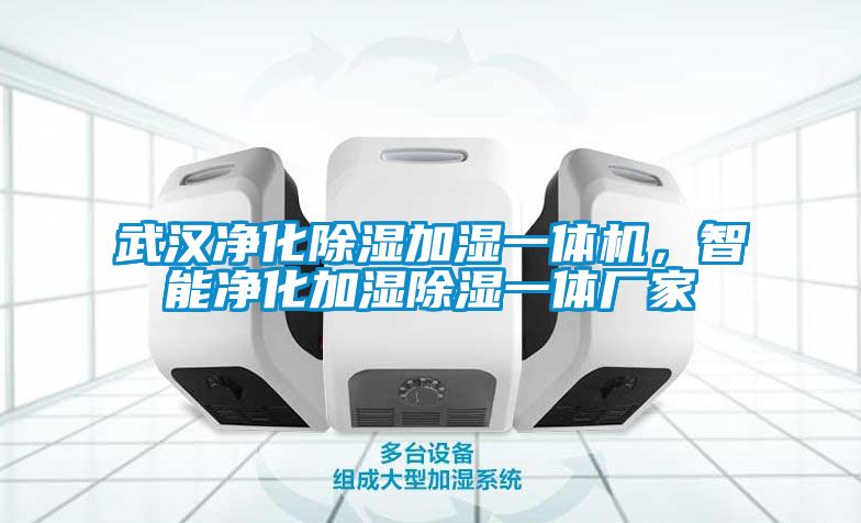 武漢凈化除濕加濕一體機(jī)，智能凈化加濕除濕一體廠家