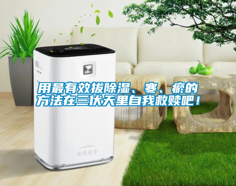 用最有效拔除濕、寒、瘀的方法在三伏天里自我救贖吧！