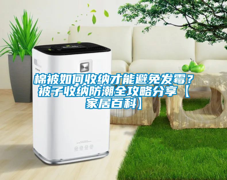 棉被如何收納才能避免發(fā)霉？被子收納防潮全攻略分享【家居百科】