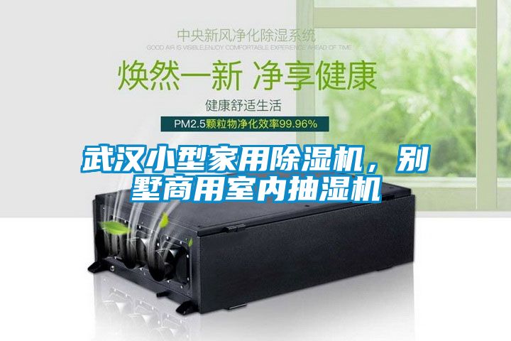 武漢小型家用除濕機(jī)，別墅商用室內(nèi)抽濕機(jī)