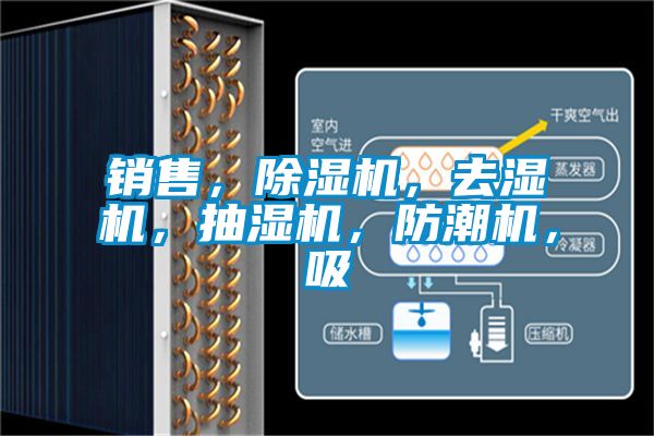 銷售，除濕機(jī)，去濕機(jī)，抽濕機(jī)，防潮機(jī)，吸