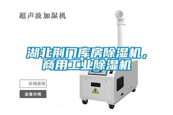湖北荊門庫(kù)房除濕機(jī)，商用工業(yè)除濕機(jī)