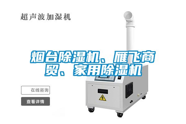 煙臺除濕機、雁飛商貿(mào)、家用除濕機