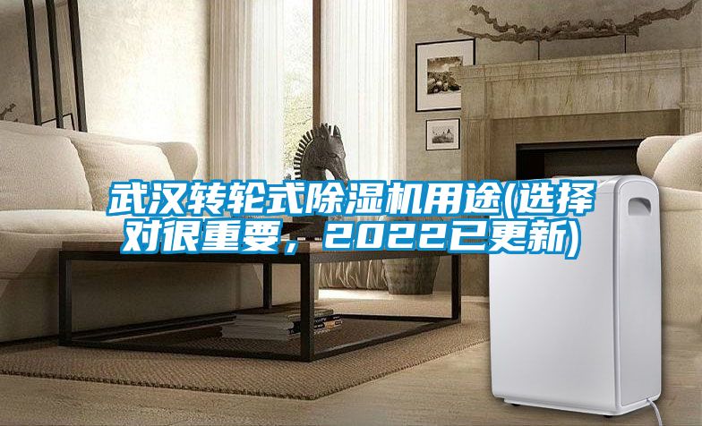 武漢轉(zhuǎn)輪式除濕機用途(選擇對很重要，2022已更新)