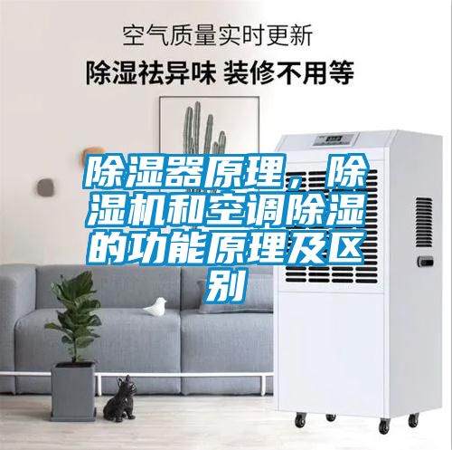 除濕器原理，除濕機(jī)和空調(diào)除濕的功能原理及區(qū)別