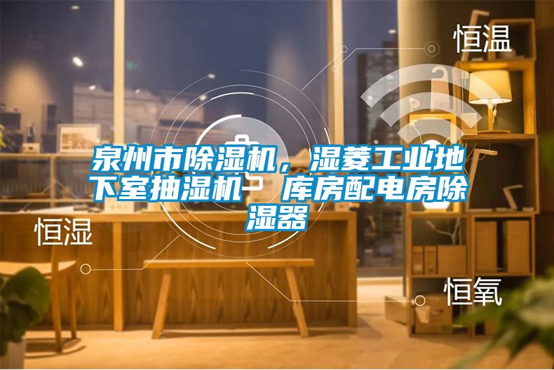泉州市除濕機，濕菱工業(yè)地下室抽濕機  庫房配電房除濕器