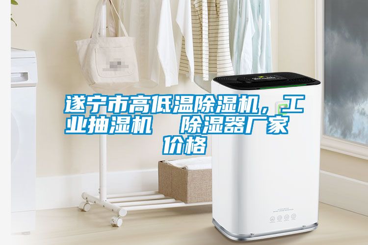 遂寧市高低溫除濕機，工業(yè)抽濕機  除濕器廠家 價格