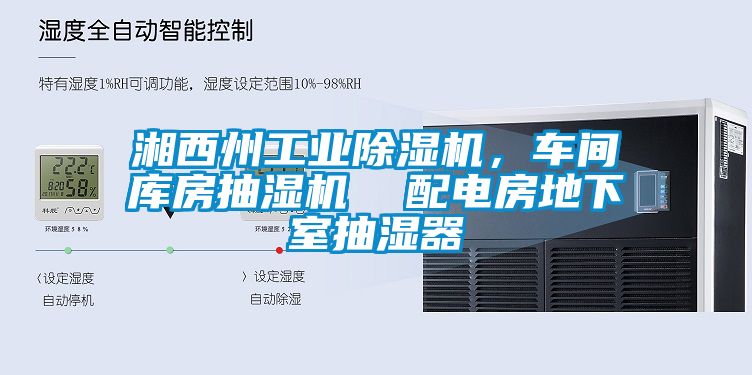 湘西州工業(yè)除濕機(jī)，車間庫房抽濕機(jī)  配電房地下室抽濕器