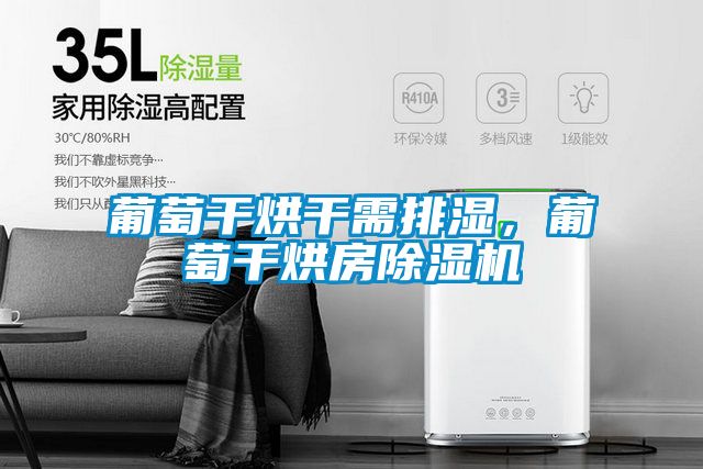 葡萄干烘干需排濕，葡萄干烘房除濕機(jī)