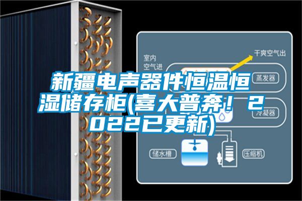 新疆電聲器件恒溫恒濕儲存柜(喜大普奔！2022已更新)