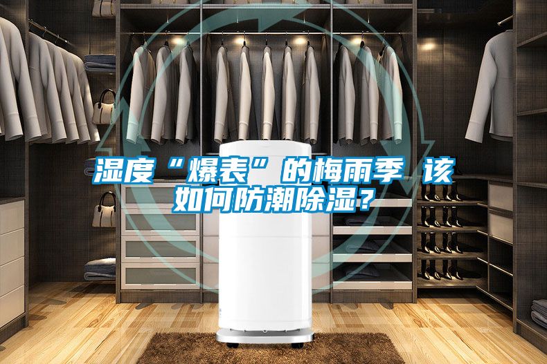 濕度“爆表”的梅雨季 該如何防潮除濕？
