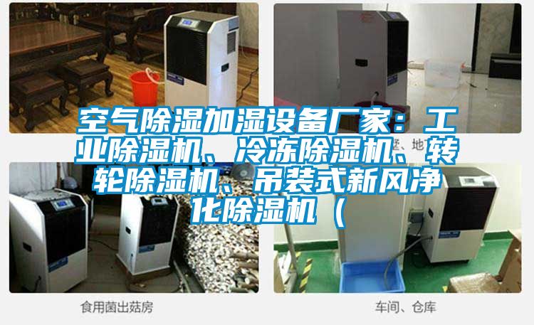空氣除濕加濕設(shè)備廠家：工業(yè)除濕機(jī)、冷凍除濕機(jī)、轉(zhuǎn)輪除濕機(jī)、吊裝式新風(fēng)凈化除濕機(jī)（