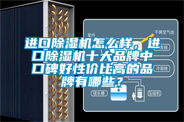 進(jìn)口除濕機怎么樣，進(jìn)口除濕機十大品牌中口碑好性價比高的品牌有哪些？