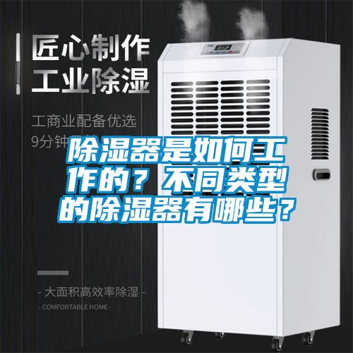 除濕器是如何工作的？不同類型的除濕器有哪些？