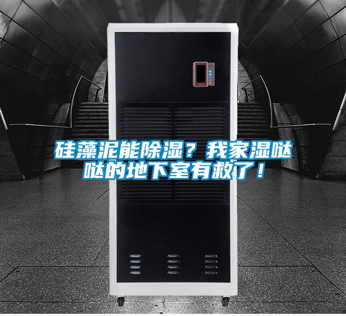 硅藻泥能除濕？我家濕噠噠的地下室有救了！
