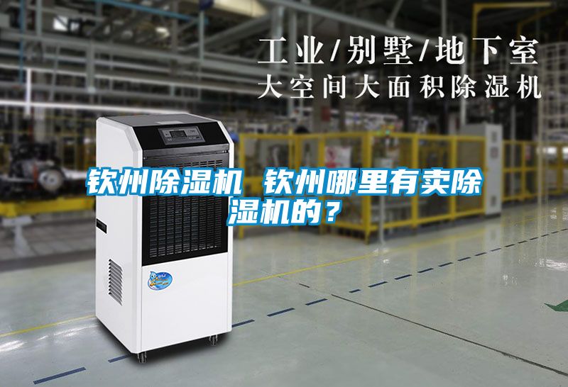 欽州除濕機(jī) 欽州哪里有賣除濕機(jī)的？