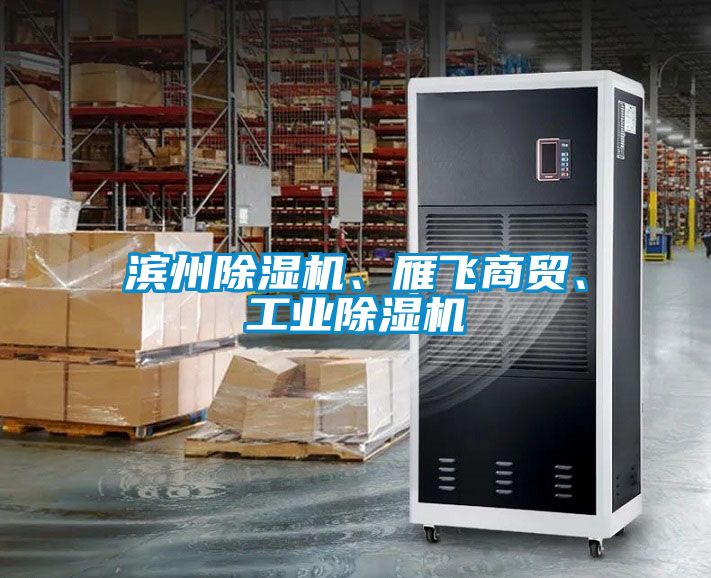 濱州除濕機、雁飛商貿(mào)、工業(yè)除濕機