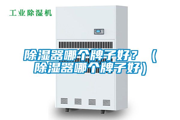 除濕器哪個(gè)牌子好？（除濕器哪個(gè)牌子好）
