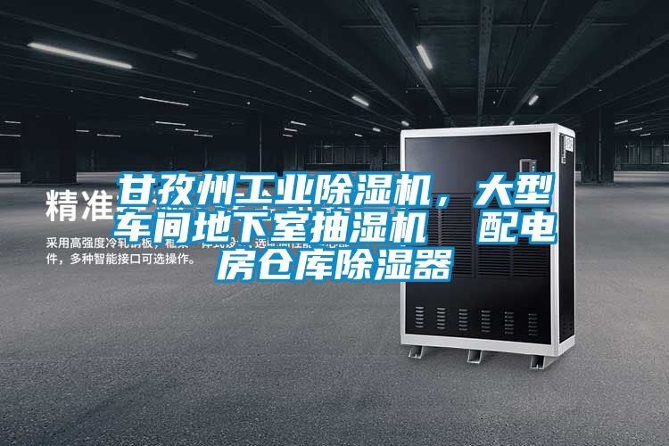 甘孜州工業(yè)除濕機(jī)，大型車間地下室抽濕機(jī)  配電房倉(cāng)庫(kù)除濕器