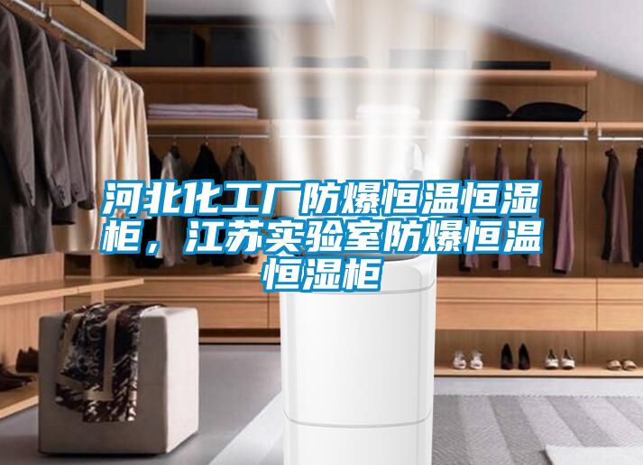 河北化工廠防爆恒溫恒濕柜，江蘇實驗室防爆恒溫恒濕柜