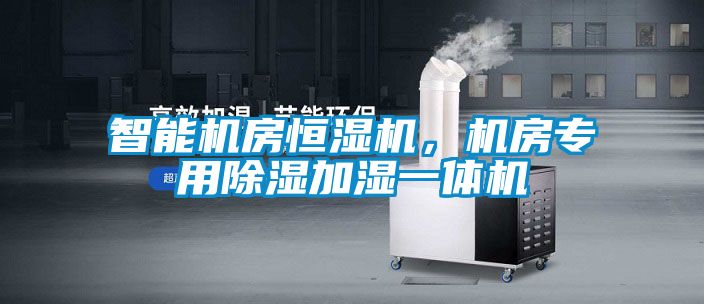 智能機(jī)房恒濕機(jī)，機(jī)房專(zhuān)用除濕加濕一體機(jī)