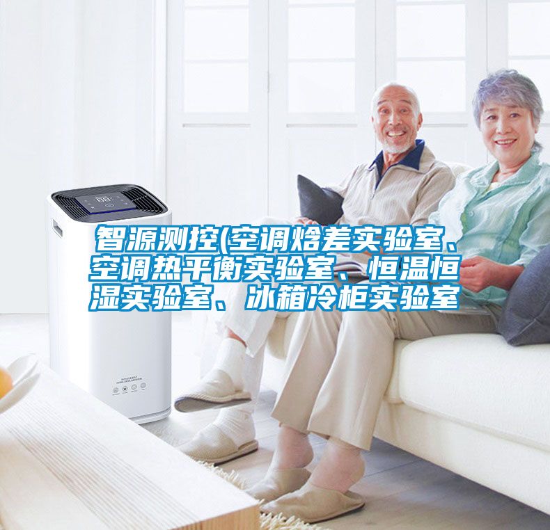 智源測控(空調(diào)焓差實驗室、空調(diào)熱平衡實驗室、恒溫恒濕實驗室、冰箱冷柜實驗室