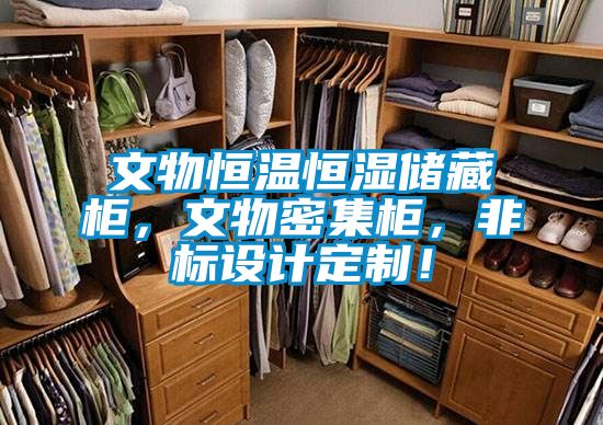 文物恒溫恒濕儲藏柜，文物密集柜，非標設(shè)計定制！