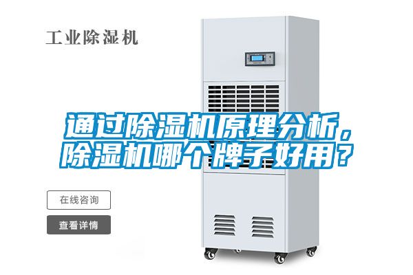 通過除濕機原理分析，除濕機哪個牌子好用？