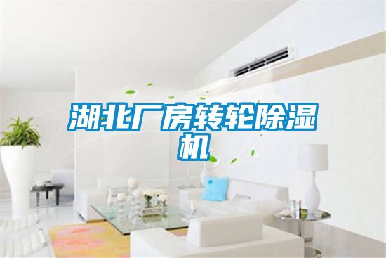 湖北廠房轉(zhuǎn)輪除濕機(jī)