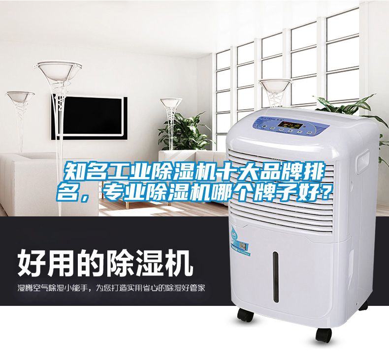 知名工業(yè)除濕機(jī)十大品牌排名，專業(yè)除濕機(jī)哪個(gè)牌子好？