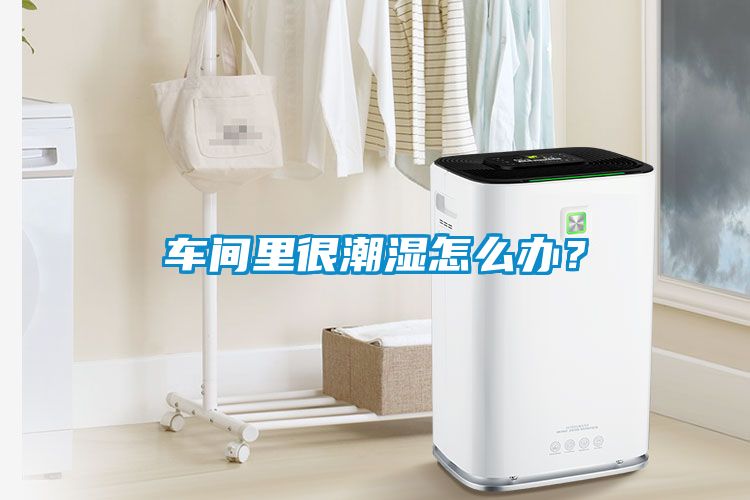 車間里很潮濕怎么辦？