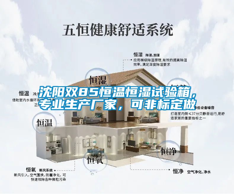 沈陽雙85恒溫恒濕試驗(yàn)箱，專業(yè)生產(chǎn)廠家，可非標(biāo)定做