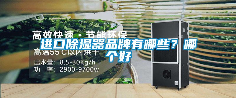 進口除濕器品牌有哪些？哪個好