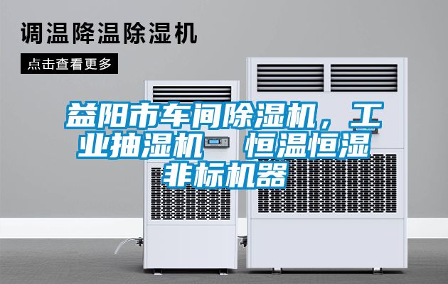 益陽(yáng)市車間除濕機(jī)，工業(yè)抽濕機(jī)  恒溫恒濕非標(biāo)機(jī)器