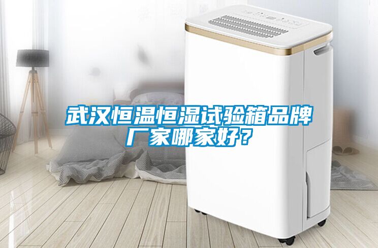 武漢恒溫恒濕試驗箱品牌廠家哪家好？