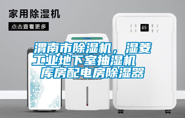渭南市除濕機，濕菱工業(yè)地下室抽濕機  庫房配電房除濕器