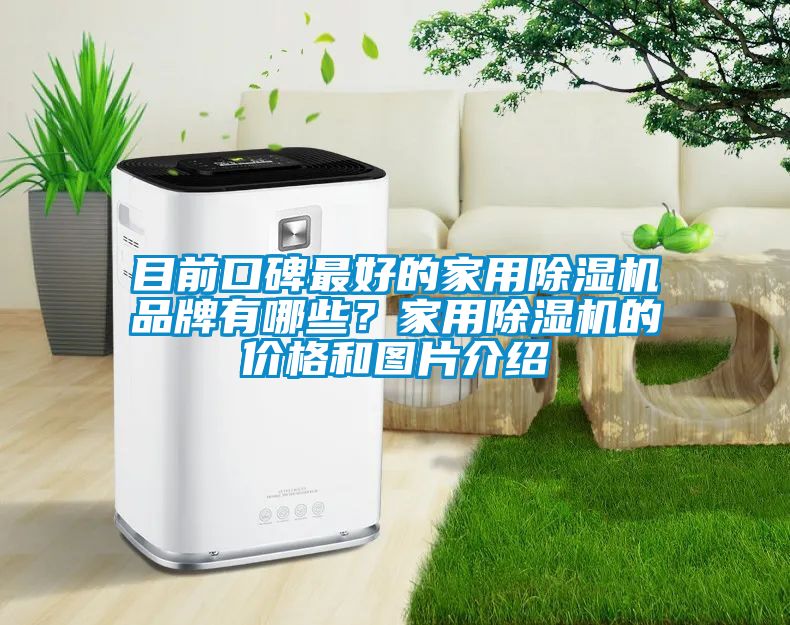 目前口碑最好的家用除濕機品牌有哪些？家用除濕機的價格和圖片介紹