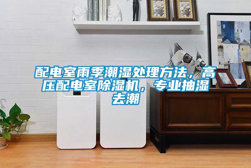 配電室雨季潮濕處理方法，高壓配電室除濕機(jī)，專業(yè)抽濕去潮
