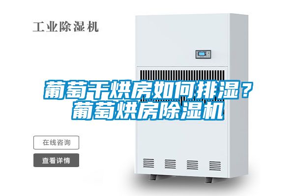 葡萄干烘房如何排濕？葡萄烘房除濕機