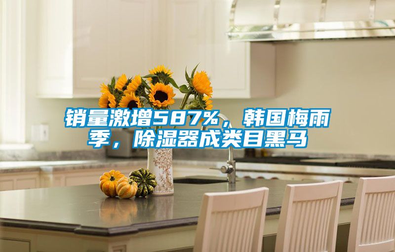 銷量激增587%，韓國(guó)梅雨季，除濕器成類目黑馬