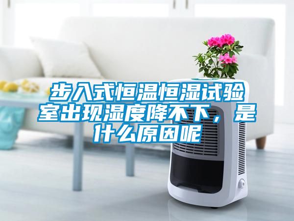 步入式恒溫恒濕試驗室出現(xiàn)濕度降不下，是什么原因呢
