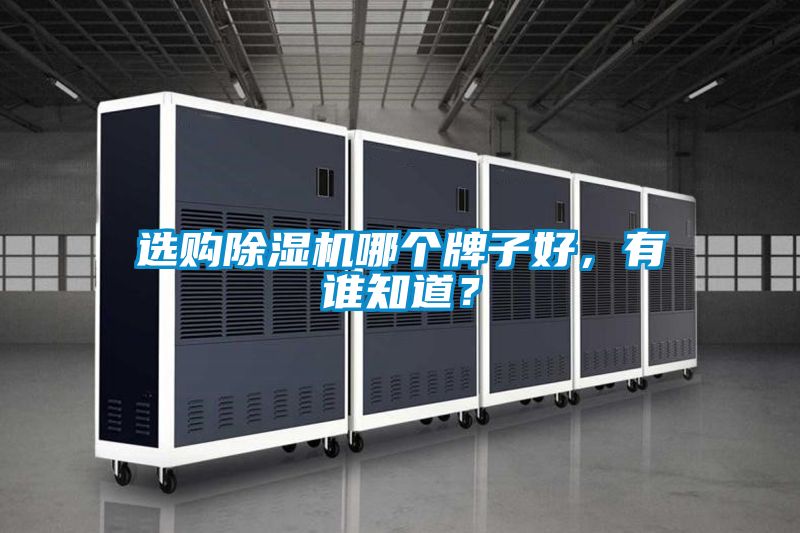 選購(gòu)除濕機(jī)哪個(gè)牌子好，有誰(shuí)知道？