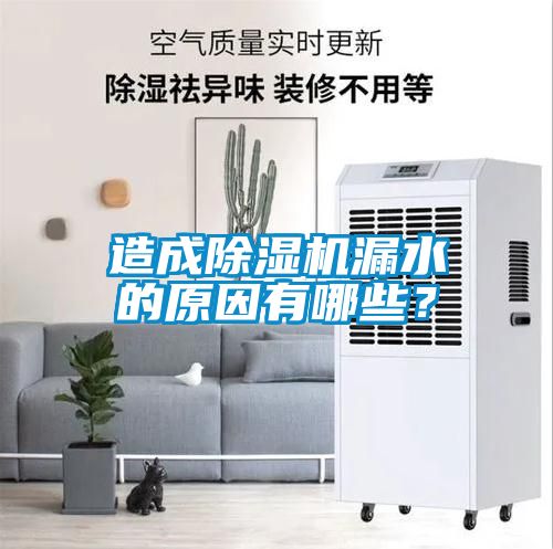 造成除濕機(jī)漏水的原因有哪些？